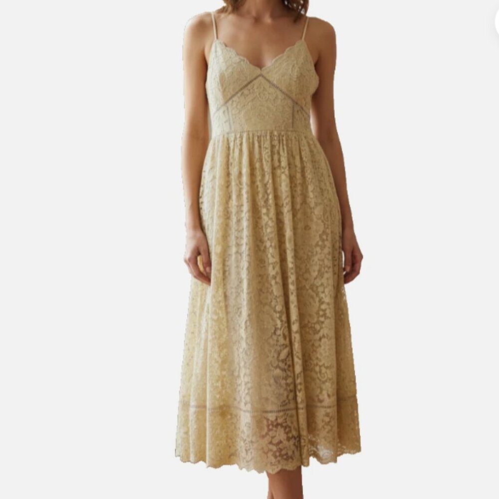 NSR Beige Lace Midi Dress Large Fit & Flare Floral Lined Wedding Guest